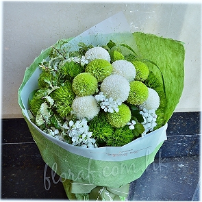 BO16    綠色毛毛球、乒乓花束